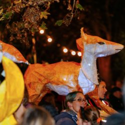 Lantern Parade by Big Fratton Local